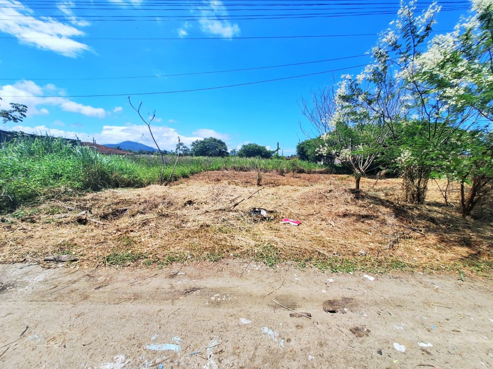 Terreno - Venda - Balnerio Adriana - Ilha Comprida - SP