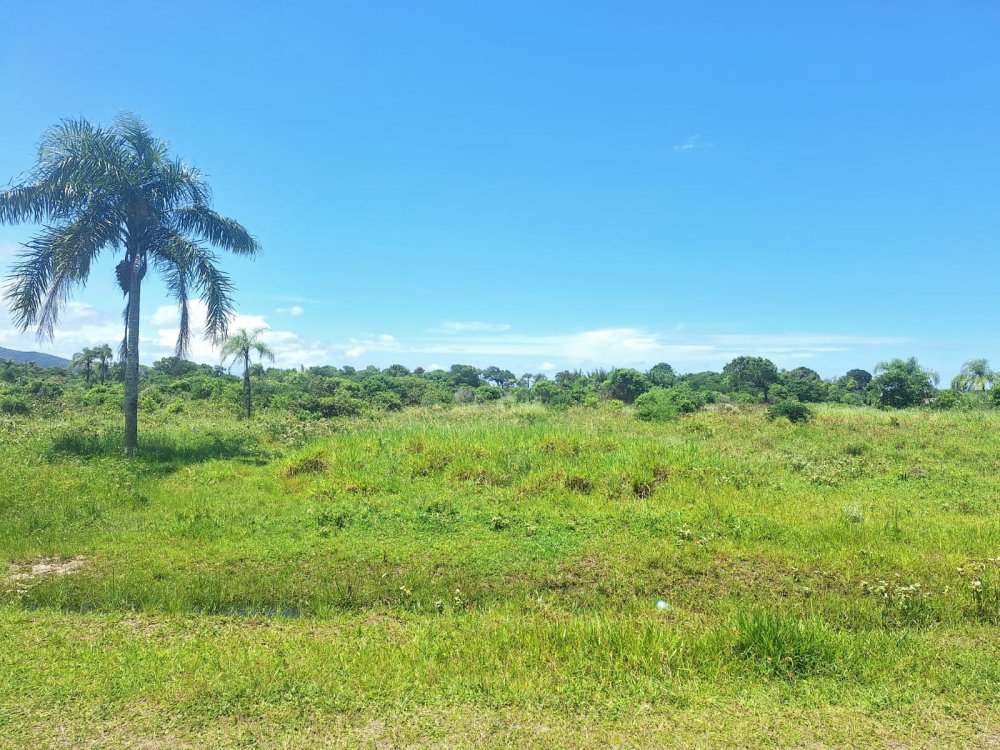 Terreno - Venda - Balneario Mar e Luz - Ilha Comprida - SP