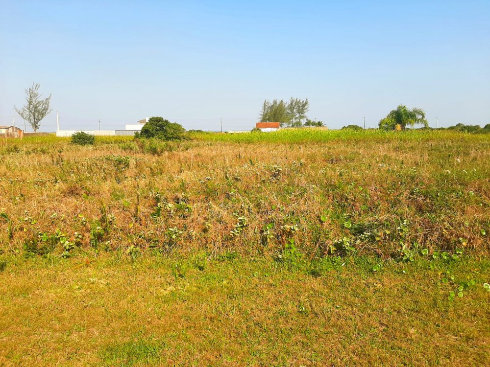 Terreno - Venda - Balneário Mares do Sul - Ilha Comprida - SP